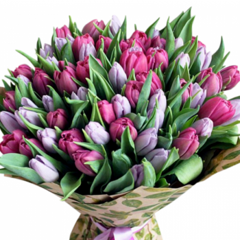 Букет из 51 сиреневого тюльпана разного оттенка.